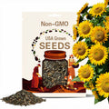 Sunflower Dwarf Sunspot Seeds 50+ Yellow Flower ANNUAL USA