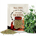 Austrian Winter Pea Seeds Field Pea Green Pea English Pea Forage Garden Pea Spring Pea Seeds Organic Non GMO Heirloom