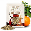 Jack O’ Lantern Pumpkin Seeds – Cucurbita pepo 20 Seeds | Classic Carving Pumpkins, Easy-to-Grow Variety for Halloween Decorations & Gardens