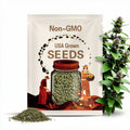 Mountain Mint Flower Seeds - Heirloom Seeds, Medicinal Plant, Minty White Flowers, Pollinator Friendly, Perennial, Non-GMO
