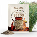 Mexican Teosinte Seeds Packet of 5 Seeds - Palm Beach Seed Company