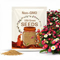 6,000 Seeds | English Daisy Wildflower Seeds, Charming Heirloom Groundcover, Pollinator Friendly, Natural , Spring Blooms, Easy Grow Flowers