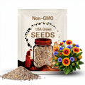 50 Seeds | Blanket Flower | Gaillardia Seeds |  USA seller