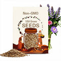 100 Eight Color Mix Scabiosa Flower Seeds, Bulk Pincushion, Scabiosa Atropurpurea SC021C
