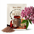 Milkweed, Swamp | 50 Seeds | Butterfly & Hummingbird Must | Non GMO | Asclepias speciosa