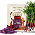 Cosmic Purple Carrot Seeds – Heirloom, Deep Purple Carrot, Open Pollinated & Non-GMO, Rare Garden Vegetable | 250 Seeds