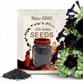 Black Petunia Seeds, Blackberry Sophistica, Petunia Hybrida F1 PE5110P