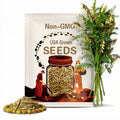 Astragalus Seeds – Heirloom Medicinal Herb for Wellness, Mild Sweet Root for Teas and Traditional Herbal Remedies, Huang Qi | 50 Seeds