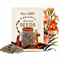 10 DAYLILY SEEDS, Pink Daylilies, Mix from Different Pinks