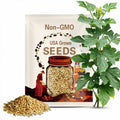 Charentais Cantaloupe Seeds 25+ French Melon Fruit USA