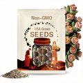 SEEDS - Lithops verruculosa C200B 20seeds