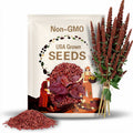 Atriplex Red Plume seed  50