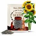 Mammoth Grey Stripe Sunflower Seeds – Heirloom Flower, Medicinal & Culinary Plant, Large Blooms, Garden Gift | 50 Seeds