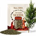 Tea tree New Zealand  seeds 5