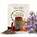 Aster Prairie New England flower seed 30
