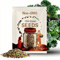 Kale Rainbow Lacinato organic vegetable seed 35