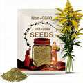 Showy Goldenrod Seeds – Heirloom Flower, Medicinal Herb, Pollinator Friendly, Native Wildflower, Easy to Grow | 100 Seeds
