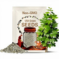 Silver Maple (Acer saccharinum) | Fast-Growing Shade Tree with Graceful, Silver-Backed Leaves