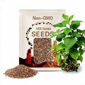Blight Resistant Chestnut American Hybrid Castanea dentata X mollissima Premium Seed Packet