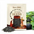 10 Black Kat Mini Pumpkin Seeds, Quick Harvest, Halloween, Autumn, Fall, Thanksgiving CP4110