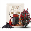 Black Diamond 'Best Red' Crepe Myrtle Tree (Lagerstroemia Indica 'Best Red') Seeds