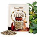 1000pcs Mixed Hosta Seeds – Easy to Grow Shade Perennial for Pots and Outdoor Gardens