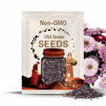 Zinnia, Blueberry Cream Mix Heirloom Seeds - Flower Seeds, Flower Mix, Purple Zinnia, Mixed Zinnia