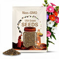 Four O'Clock White Flower Seeds, Heirloom, Country Creek Acres