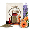 Calendula Flashback organic flower seed 50