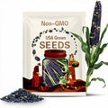 Blue Corn Seeds - Organic, Heirloom, Open Pollinated, Non GMO - Grow Indoors, Outdoors, In Pots, Grow Beds, Hydroponics & Aquaponics