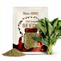 Jamaican Callaloo Seeds