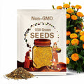 Marigold Flower Seeds-African Tall Orange -100+ seeds/packet.