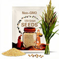 Sorghum Seeds - Organic, Heirloom, Open Pollinated, Non GMO - Grow Indoors, Outdoors, In Pots, Grow Beds, Soil, Hydroponics & Aquaponics