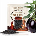 Black Beauty Eggplant Seeds