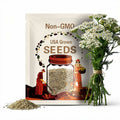 White Yarrow Heirloom Herb Seeds - Medicinal Herb, Open Pollinated, Non-GMO