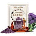 Purple Sprouting Broccoli Seeds - Heirloom, Organic, Non-GMO