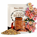 Apricot Lemonade Cosmos Seeds, Cosmos Bippinatus CO0125
