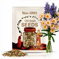 40 Seeds | April Heather Dahlia Seeds | Vibrant Perennial | Easy to Grow | Gardens & Bouquets | Open Pollinated | Pollinator-Friendly#D094