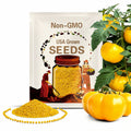 Brandywine Yellow Tomato Seeds – Heirloom Vegetable, Indeterminate Plant, Sweet Tangy Complex Flavor, Easy to Grow | 50 Seeds