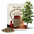 Trident Maple Tree Seeds (ACER BUERGERIANUM) (Three-toothed Maple)