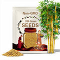 Golden Bamboo Plant Seeds
