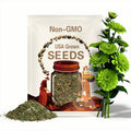50 Green Envy Zinnia Seeds, Zinnia Elegans ZE0450