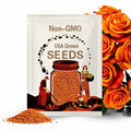 Orange Rose Seeds  - Perennial - Authentic Seeds - Flowers - Easy To Grow - Climbing - shrubs - Rose Garden - B3G1#1091