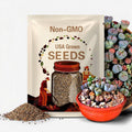 Rare Lithops MIX Succurent Cactus Exotic Living Stones Desert Rock SEED 50 SEEDS