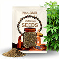 Siberian Ginseng Organic | 2025 Harvest {Eleutherococcus senticosus} Herbal | Zero Waste Plant | 20 seeds | Free Shipping!