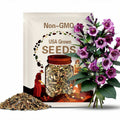 13 Seeds| Purple Queen Trumpet Seeds - Flowering - Cold Sensitive - Angel's Trumpet - Devil’s Trumpet - Datura Flower - Flower Seeds #G008