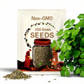 1000 Cilantro Seeds – Heirloom Coriander Herb for Culinary Use & Easy Garden Growing