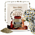Shasta Daisy Seeds | Chrysanthemum Maximum | Non-GMO | Flower Seeds | Seed Store | 1178