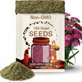 Yarrow Cerise Queen Seeds – Heirloom Medicinal Flower, Vibrant Cerise-Pink Blooms, Attracts Pollinators, Easy to Grow | 50 Seeds