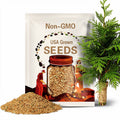 Arborvitae Tree Seeds (THUJA OCCIDENTALIS) (American Arborvitae) (Eastern White-Cedar)(Northern White cedar)